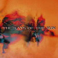 The Rays Of The Sun : Living Flowers Gallery